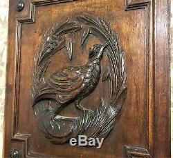 Hunting trophy wood carving panel Antique french flower architectural salvage