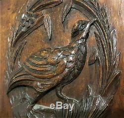 Hunting trophy wood carving panel Antique french flower architectural salvage