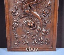 Large French Antique Deep Carved Panel Door Solid Walnut Wood Griffin/Chimera