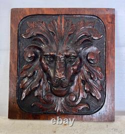 Lion Scroll Leaf Wooden Carved Panel French Antique Late 1800's Oak