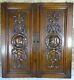 Pair Antique French Solid Walnut Carved Wood Door/panel Knight's Head