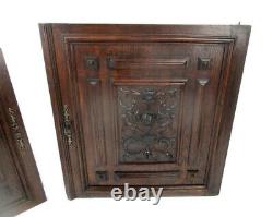 Pair Antique French hand Carved Oak Fish Door Panels Reclaimed Architectural