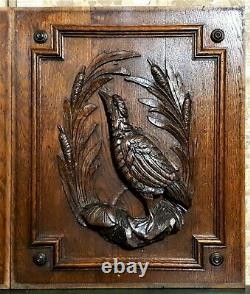 Pair bird hunting scene wood carving panel Antique french architectural salvage