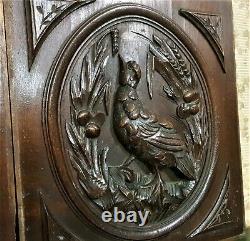 Pair bird hunting trophy decorative panel Antique french architectural salvage