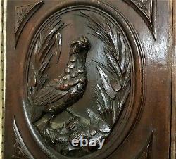 Pair bird hunting trophy decorative panel Antique french architectural salvage