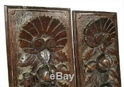 Pair farmhouse fruit shell wood carving panel antique french salvaged ornament