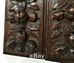 Pair farmhouse fruit shell wood carving panel antique french salvaged ornament