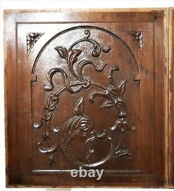 Pair griffin scroll leaves carving panel Antique french architectural salvage 22
