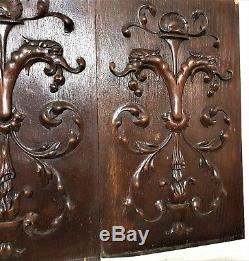 Pair griffin scroll leaves panel Antique french carved wood salvaged paneling