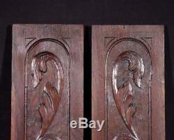 Pair of Antique Solid Chestnut Wood Panels Hand Carved Salvage