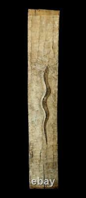 Rare old Mentawai Indonesia carved wood panel withsnake (naga) ex. Bruce Carpenter