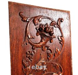 Scroll leaf dragon wood carving panel 2106 Antique French architectural salvage