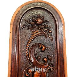 Scroll leaf fruit cornucopia carving panel Antique French architectural salvage