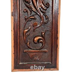 Scroll leaf fruit cornucopia carving panel Antique French architectural salvage