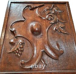 Scroll leaf grapes wood carving panel 1693 Antique French architectural salvage