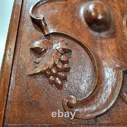 Scroll leaf grapes wood carving panel 1693 Antique French architectural salvage