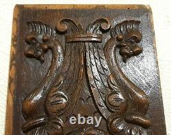 Scroll leaf griffin wood carving panel Antique french architectural salvage 20