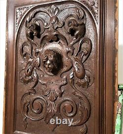 Scroll leaf queen griffin carving panel Antique french arhitectural salvage 23