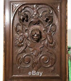 Scroll leaf queen griffin wood carving panel Antique french arhitectural salvage