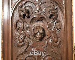 Scroll leaf queen griffin wood carving panel Antique french arhitectural salvage
