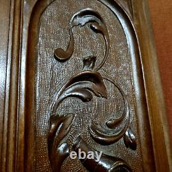 Scroll leaf shield wood carving panel 24 in Antique French architectural salvage