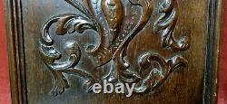 Scroll leaves armorial carving panel Antique french architectural salvage 18
