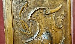 Scroll leaves blason carved wood panel Antique french architectural salvage 18