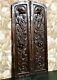 Scroll Leaves Griffin Wood Carving Panel Antique French Architectural Salvage