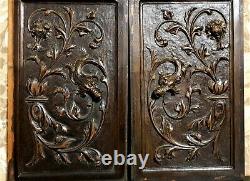 Scroll leaves griffin wood carving panel Antique french architectural salvage