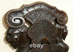 Scroll leaves griffin wood carving panel Antique french architectural salvage 21