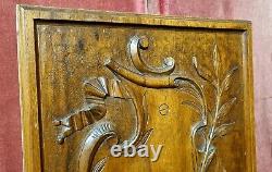 Scroll leaves ribbon carved wood panel Antique french architectural salvage 16