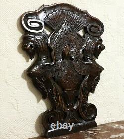 Scroll leaves winged griffin carving panel Antique french architectural salvage