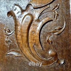 Scroll leaves wood carving panel 18.39 in Antique French architectural salvage