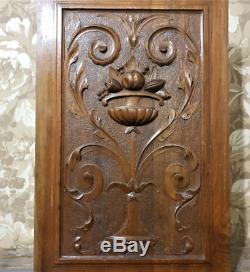 Scroll leaves wood carving panel Antique french gothic architectural salvage