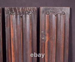 Set of Four Antique French Gothic Revival Panels in Chestnut Wood withLinen Folds