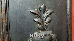 Shell scroll leaves carved wood panel vintage french architectural salvage 16