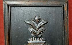 Shell scroll leaves carved wood panel vintage french architectural salvage 17