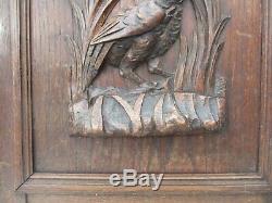 Victorian Carved Wooden Panel Plaque Door Antique French Old Wood Birds Nature