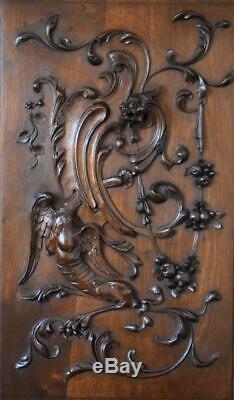 XXL Antique French Architectural Hand Carved Wood Door Wall Panel with Griffin